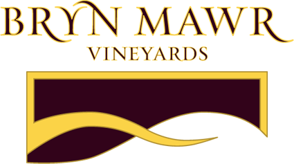 BrynMawr_BMVLogo3 BrynMawr_BMVLogo3