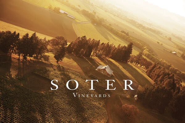 Soter Logo Soter Logo