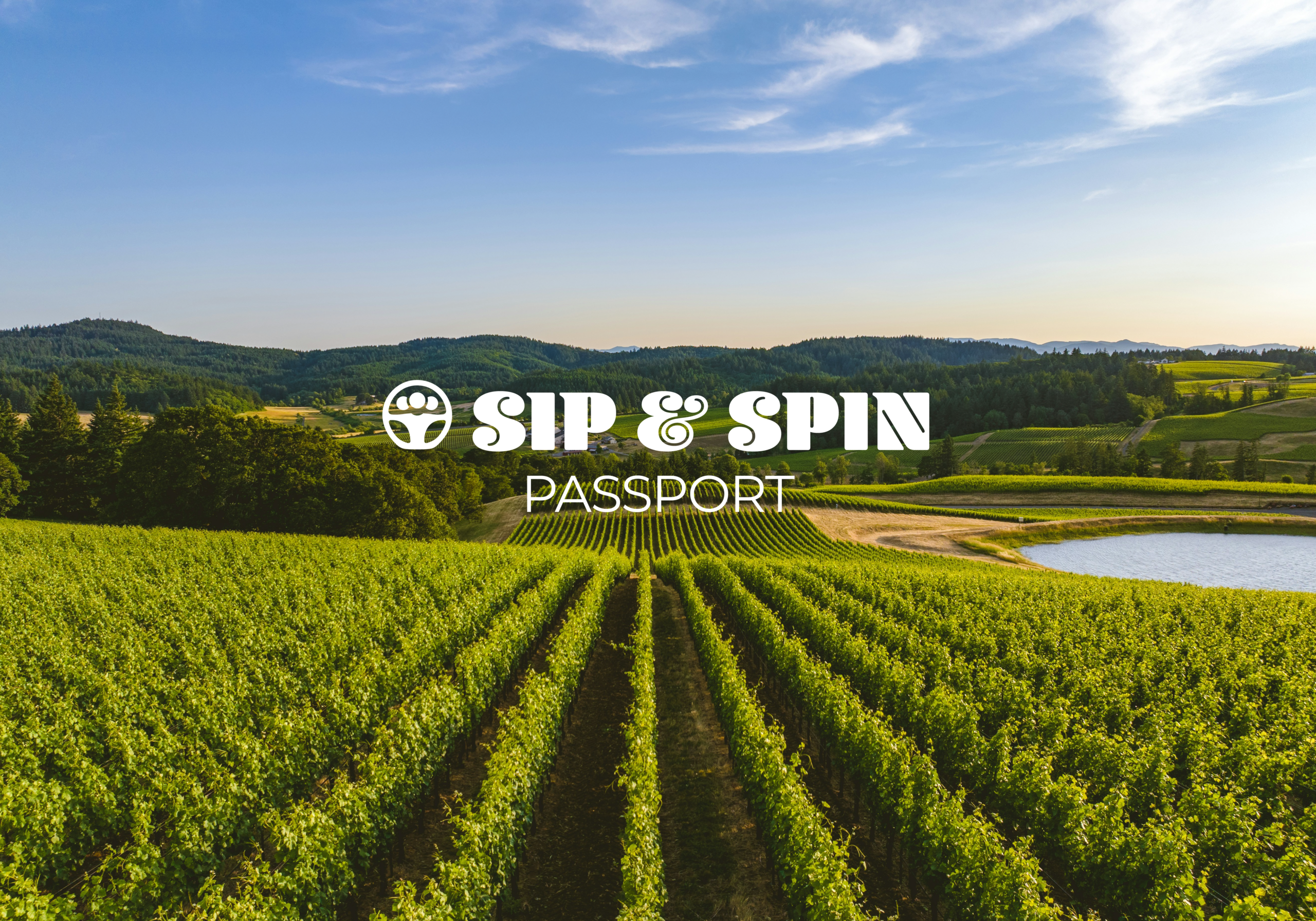 sip and spin background